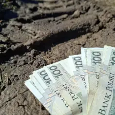 Pieniądze leżą na ziemi, symbolizując trudności związane z płaceniem podatku rolnego.