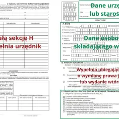 Formularz in-1 do wypełnienia przez urząd lub starostwo. Sekcja H, dotycząca prawa jazdy, jest wypełniana przez urzędnika.