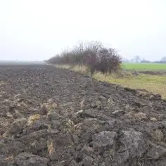 Pola orne po orce, zarośla i zielone pastwisko. Zastanawiasz się, ile kosztuje hektar ziemi?