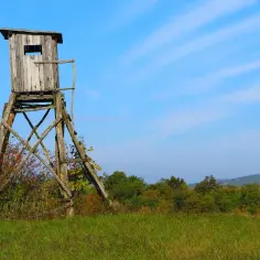 Jak orientować się w terenie i uniknąć zgubienia w lesie