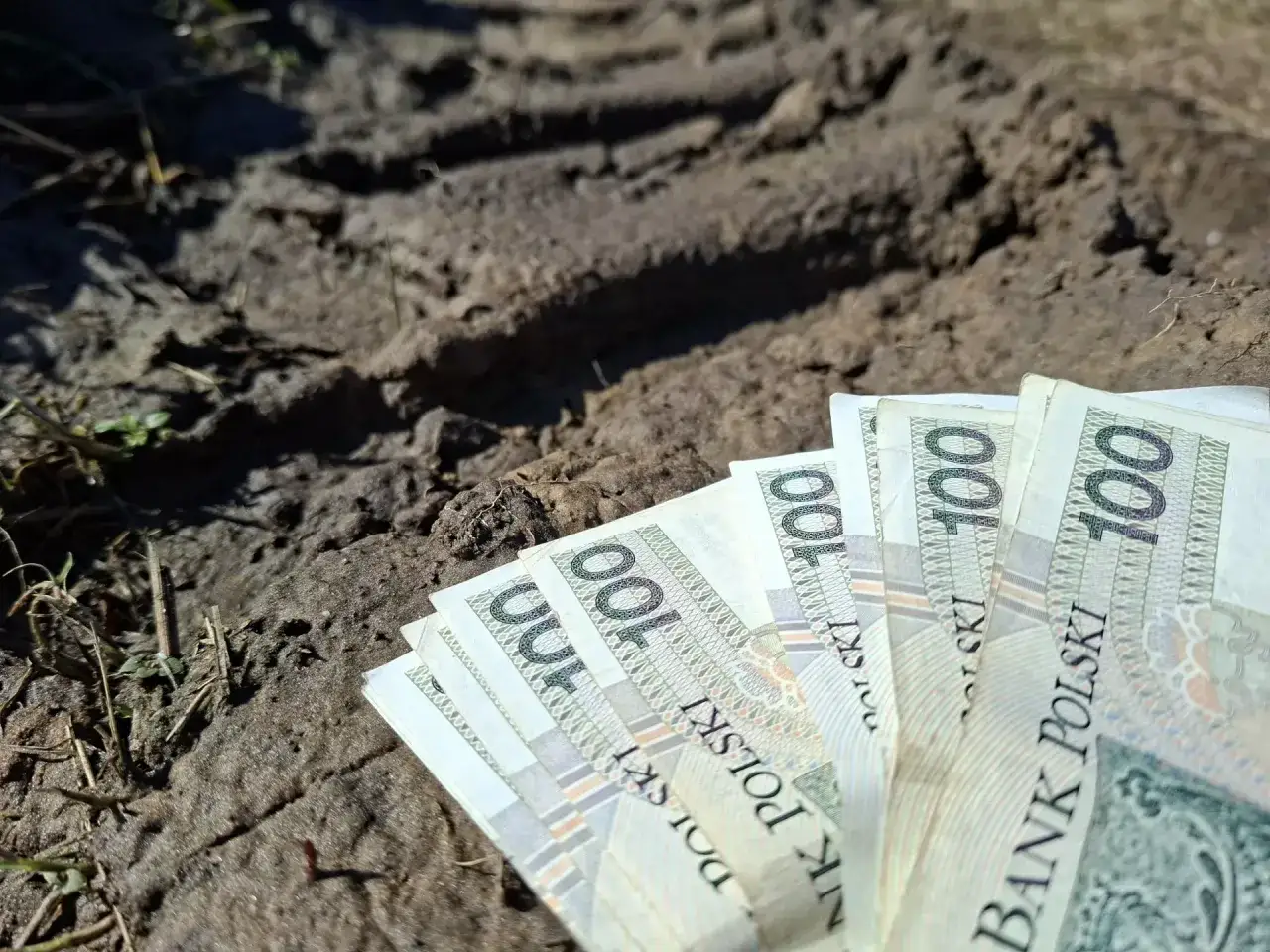 Pieniądze leżą na ziemi, symbolizując trudności związane z płaceniem podatku rolnego.
